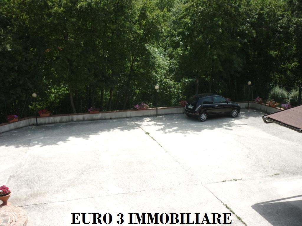 1353 APARTMENT SALE ROCCAFLUVIONE5