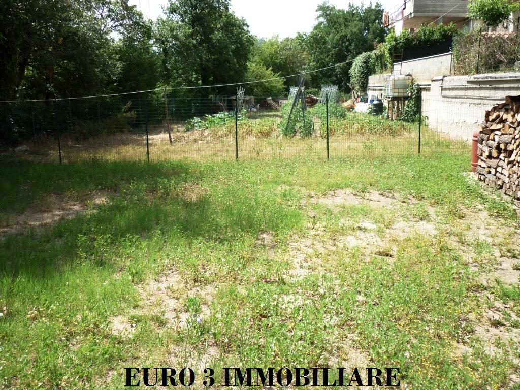 1353 APARTMENT SALE ROCCAFLUVIONE6