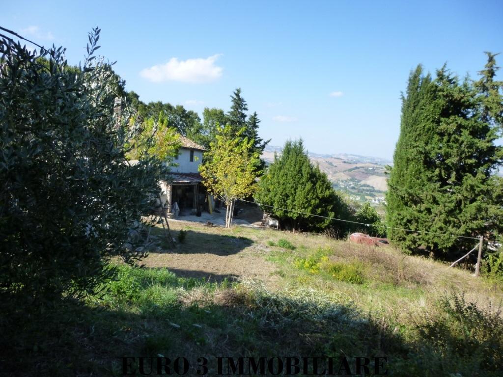 1890 CASOLARE VENDITA ASCOLI PICENO3