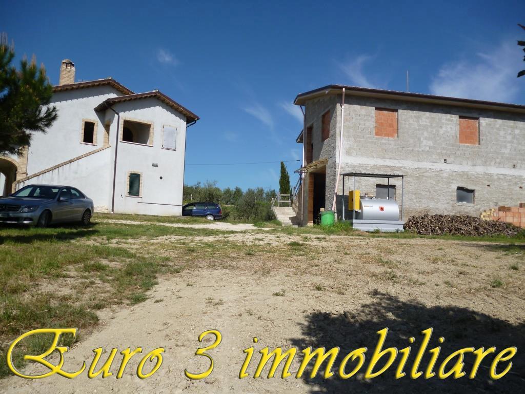 2268 CASOLARE VENDITA OFFIDA2