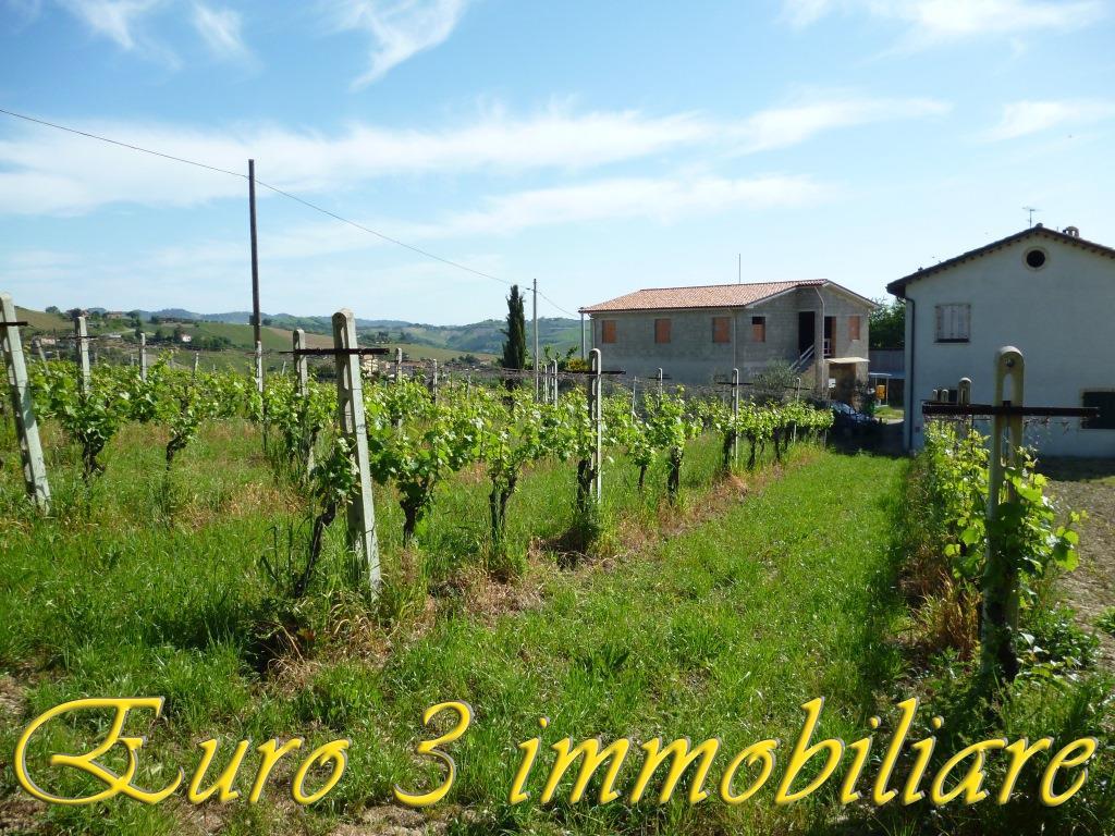 2268 CASOLARE VENDITA OFFIDA6