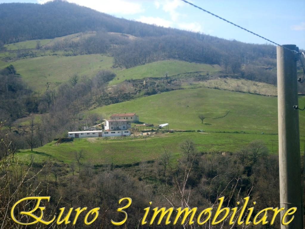 2429 CASOLARE VENDITA ARSITA3