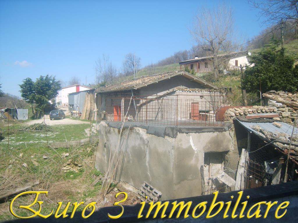 2429 CASOLARE VENDITA ARSITA5