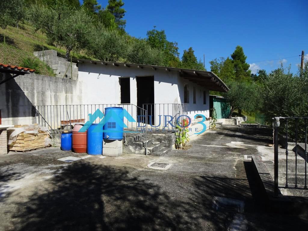 2810 PEASANT SALE ASCOLI PICENO3