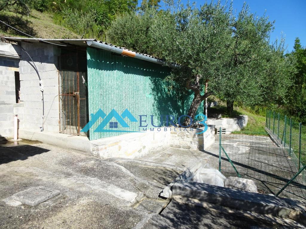 2810 PEASANT SALE ASCOLI PICENO6