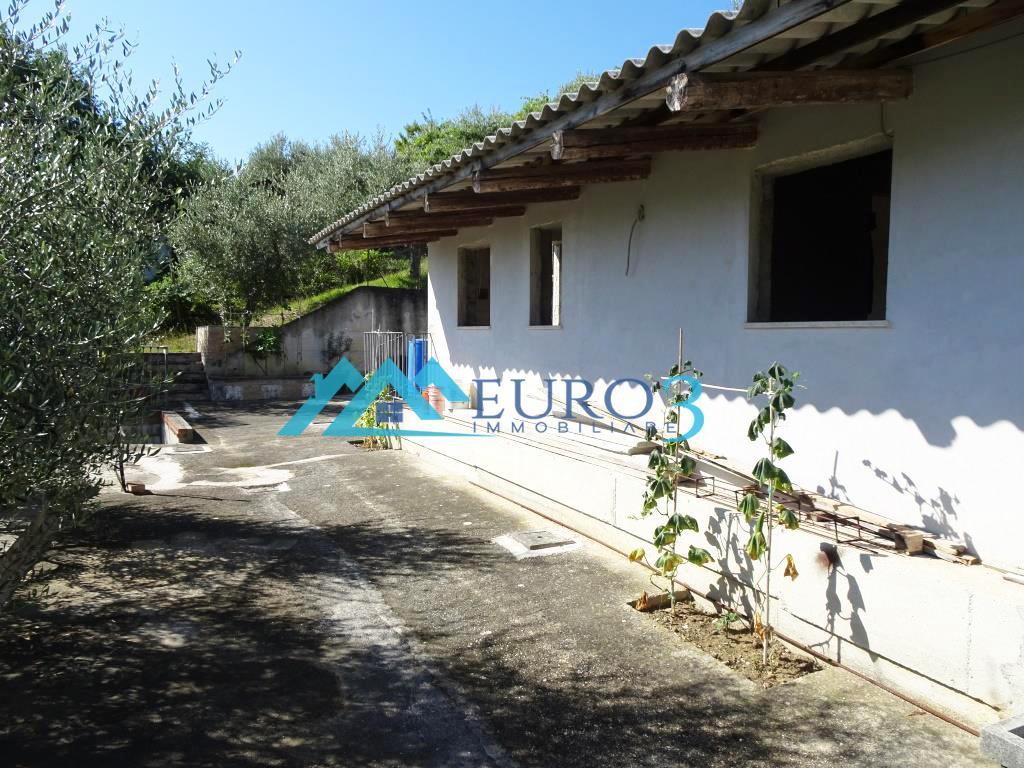 2810 PEASANT SALE ASCOLI PICENO7