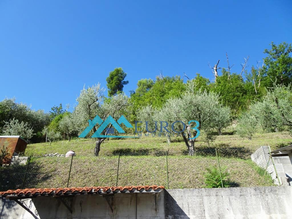 2810 PEASANT SALE ASCOLI PICENO9