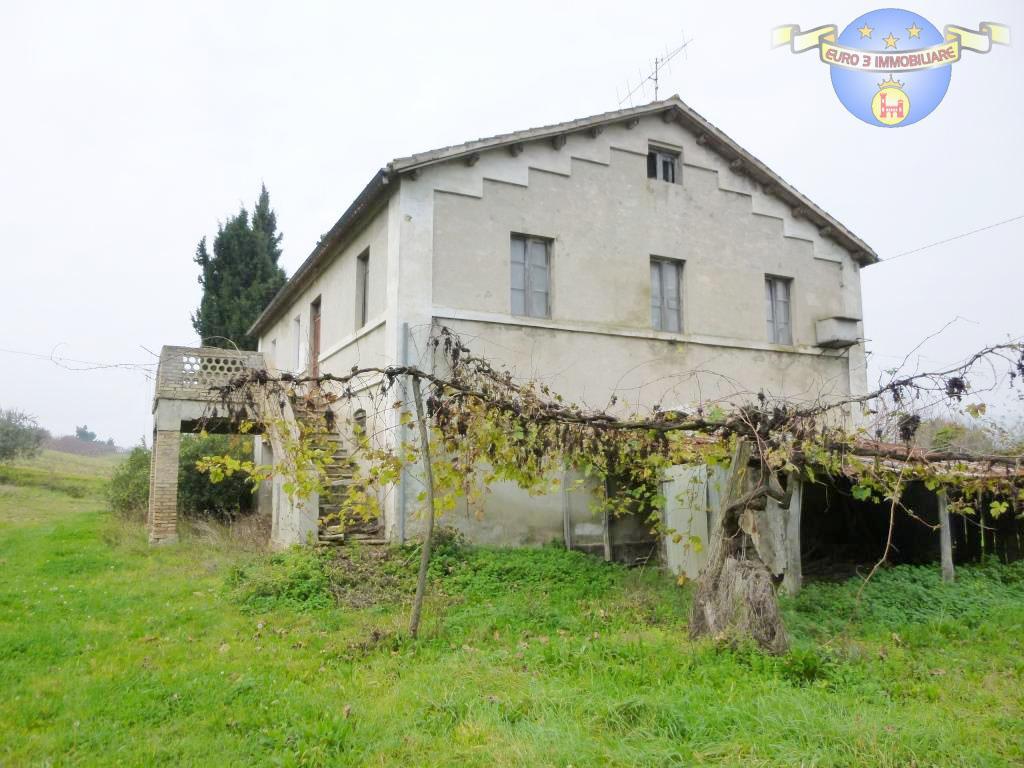 2945 CASOLARE VENDITA MONTEFIORE DELL'ASO2