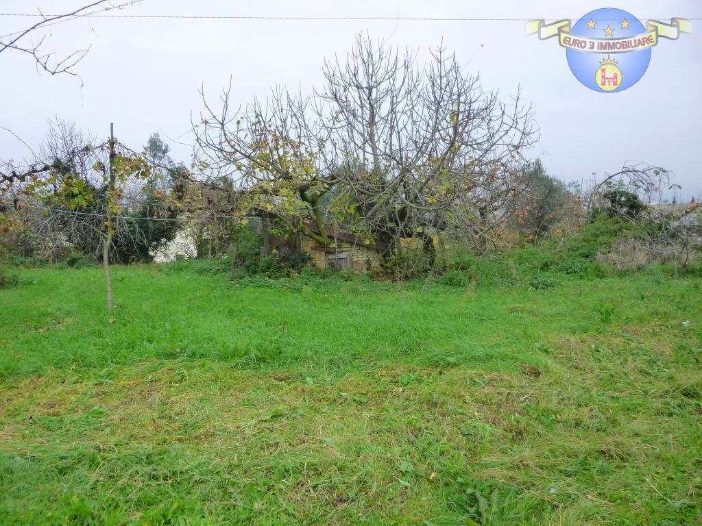 2945 CASOLARE VENDITA MONTEFIORE DELL'ASO4