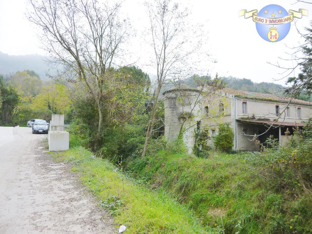 2956 FARMHOUSE SALE MONTEFIORE DELL'ASO2