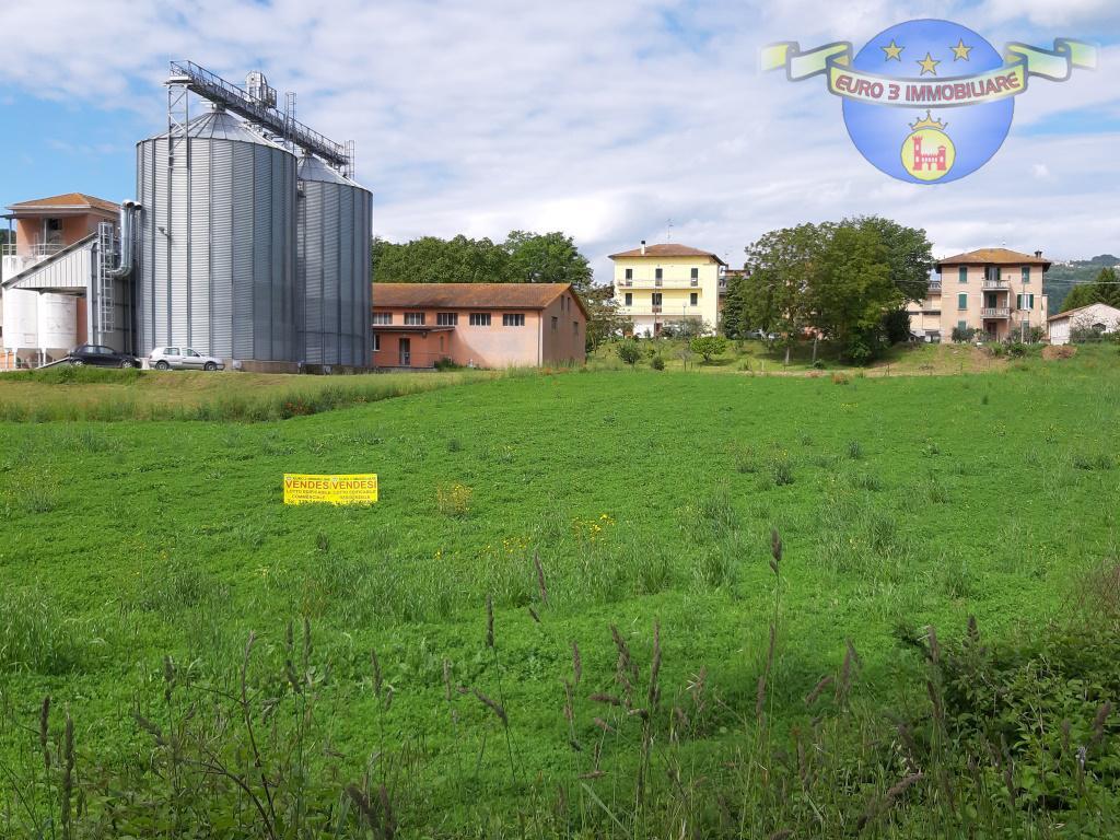 2991 - LAND - SALE - € 115000 - SANTA VITTORIA IN MATENANO PONTE MAGLIO