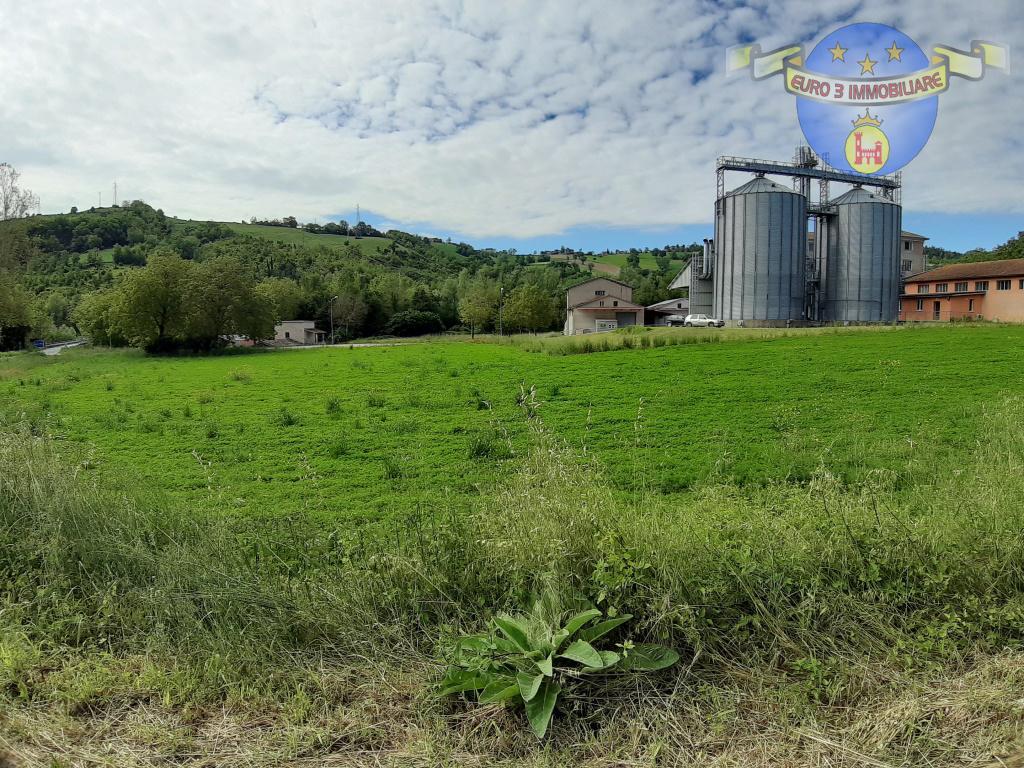 2991 LAND SALE SANTA VITTORIA IN MATENANO5