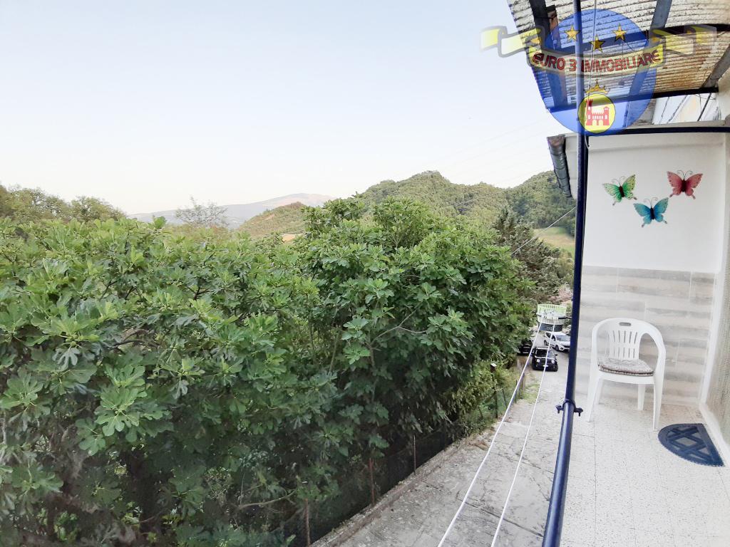 3136 APPARTAMENTO VENDITA ROCCAFLUVIONE6