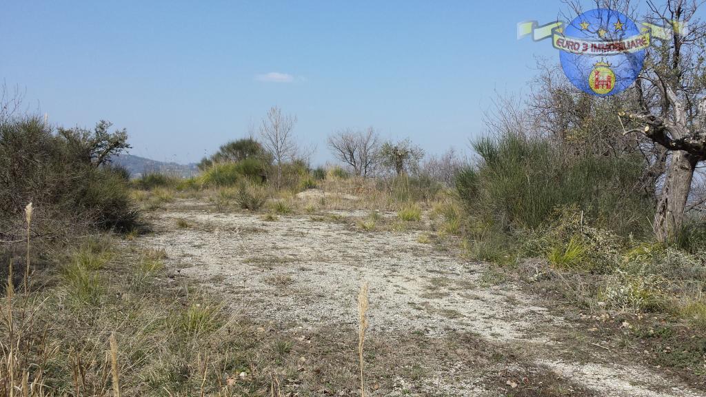 3276 - BUILDING LOT - SALE - € 90000 - MONTALTO DELLE MARCHE