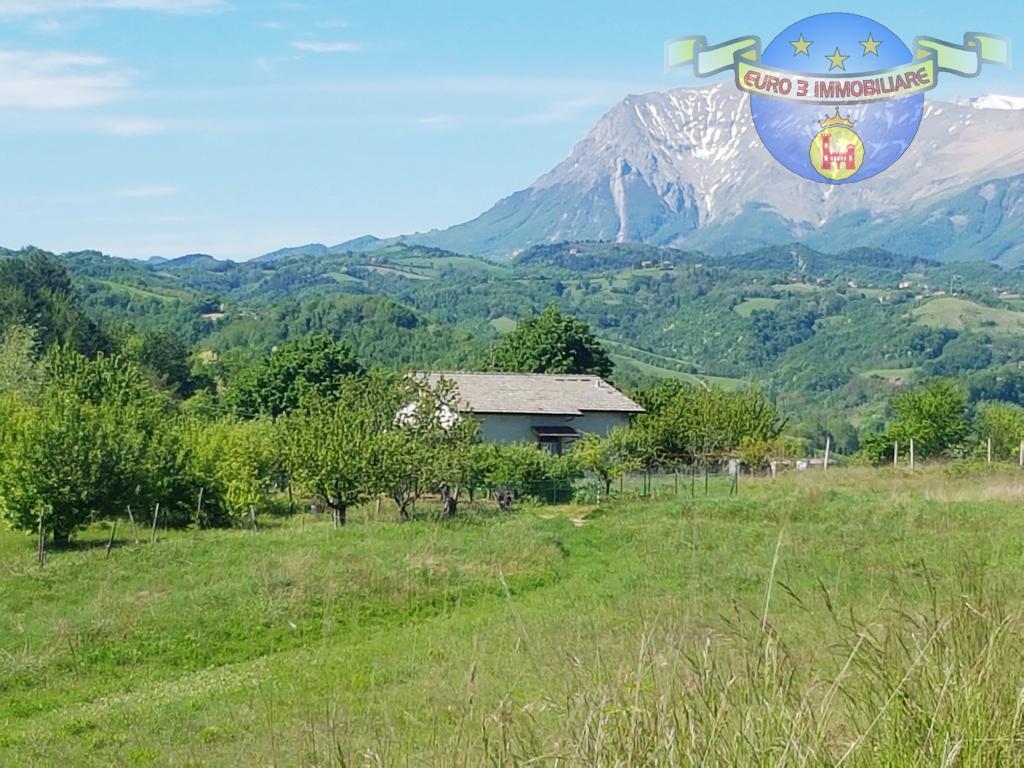 3318 DETACHED HOUSE SALE COMUNANZA2