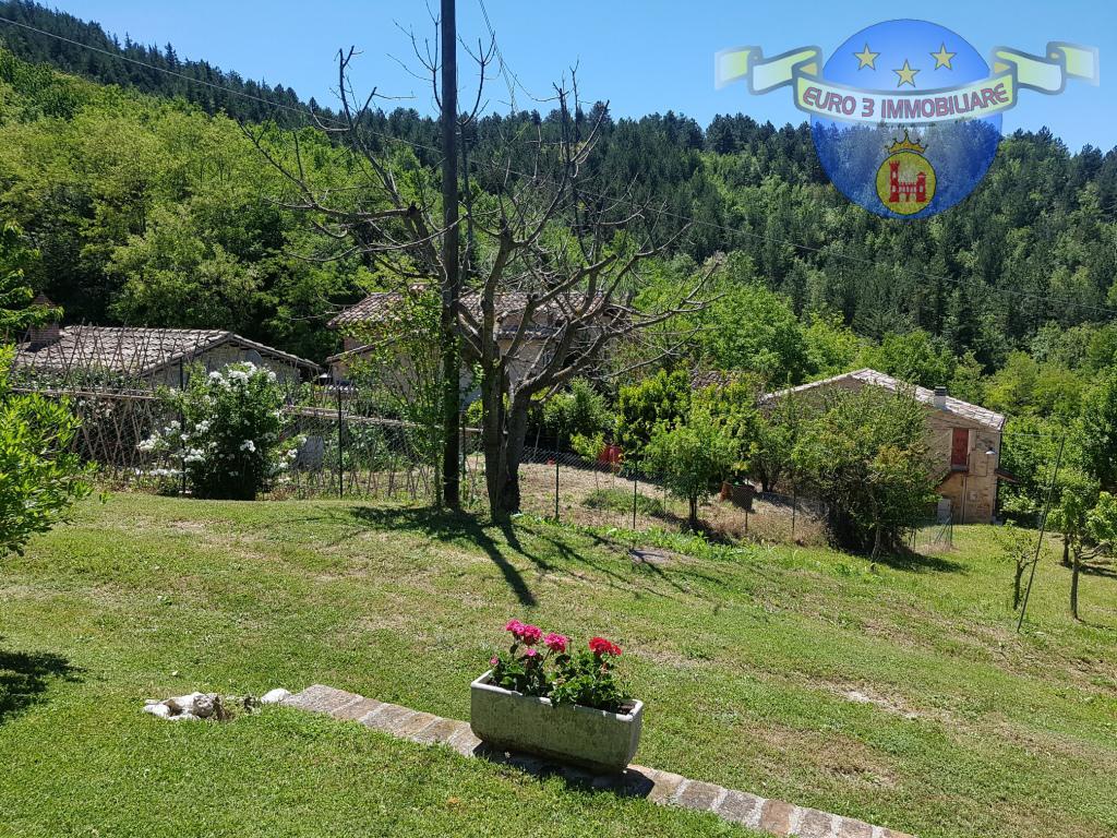3318 DETACHED HOUSE SALE COMUNANZA6