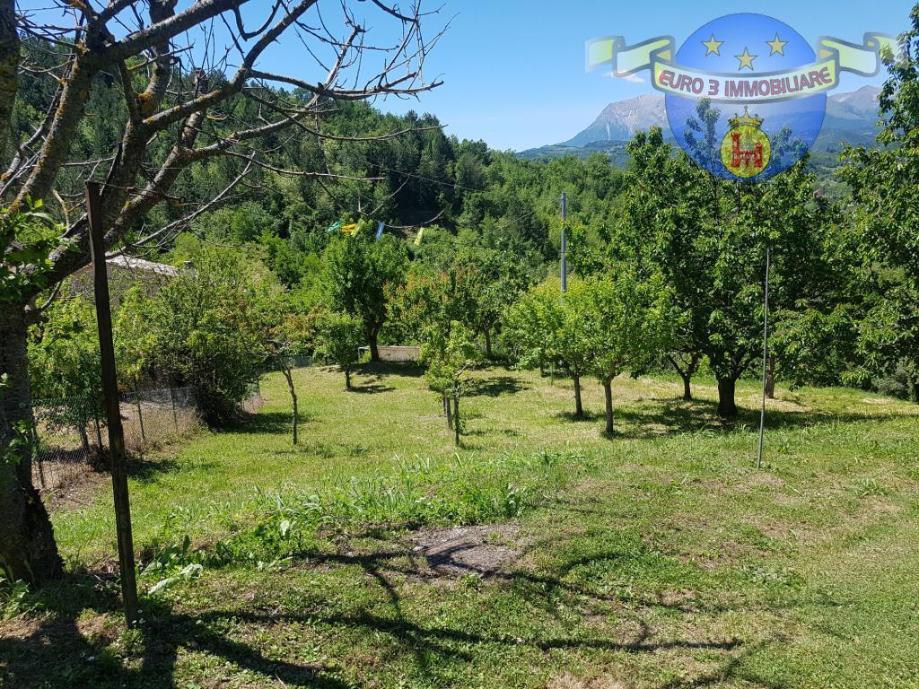 3318 DETACHED HOUSE SALE COMUNANZA7