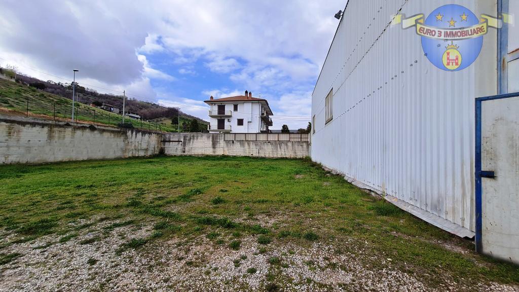 3348 SHED SALE COLONNELLA2