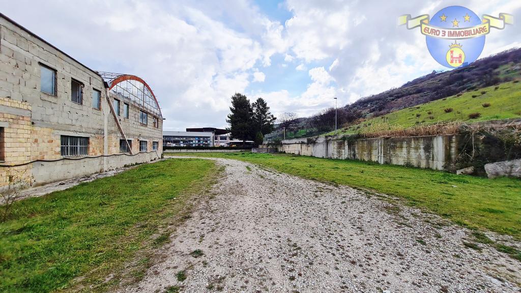 3348 SHED SALE COLONNELLA3
