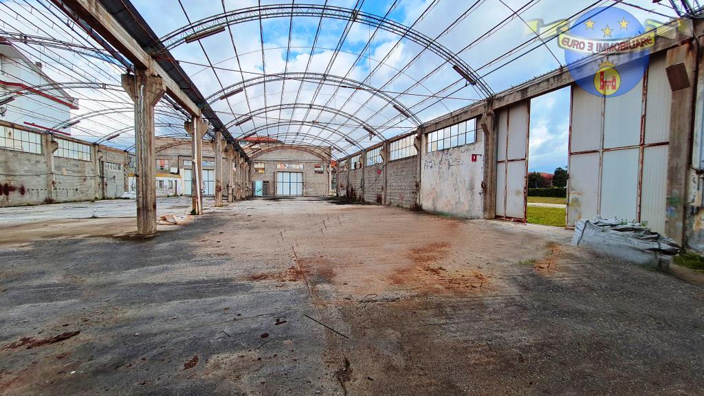 3348 SHED SALE COLONNELLA5