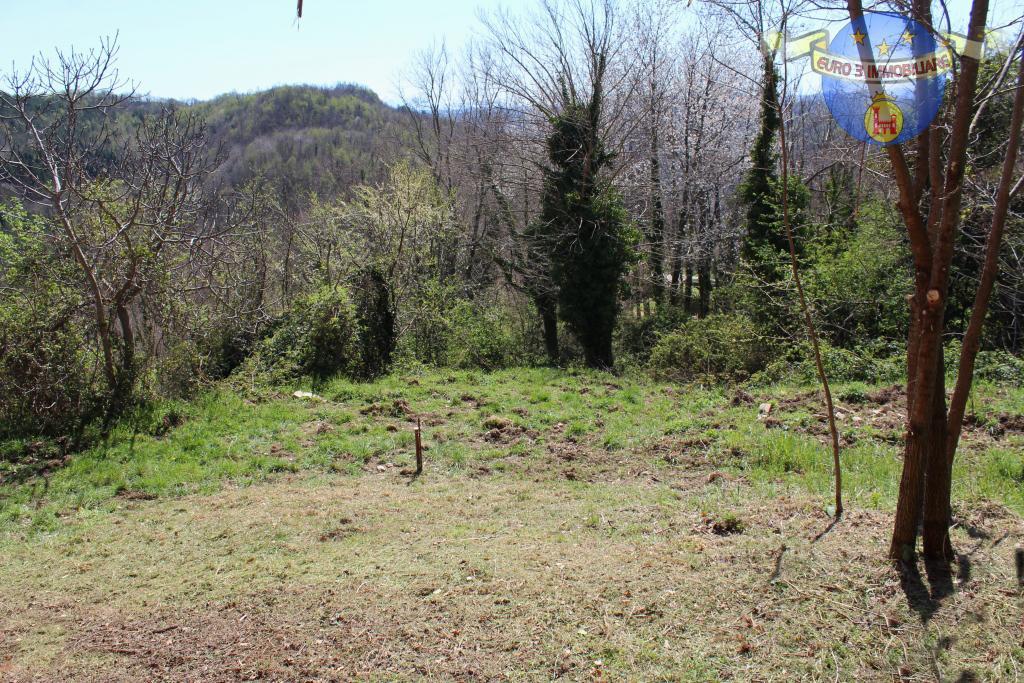 3351 DETACHED HOUSE SALE AMANDOLA8