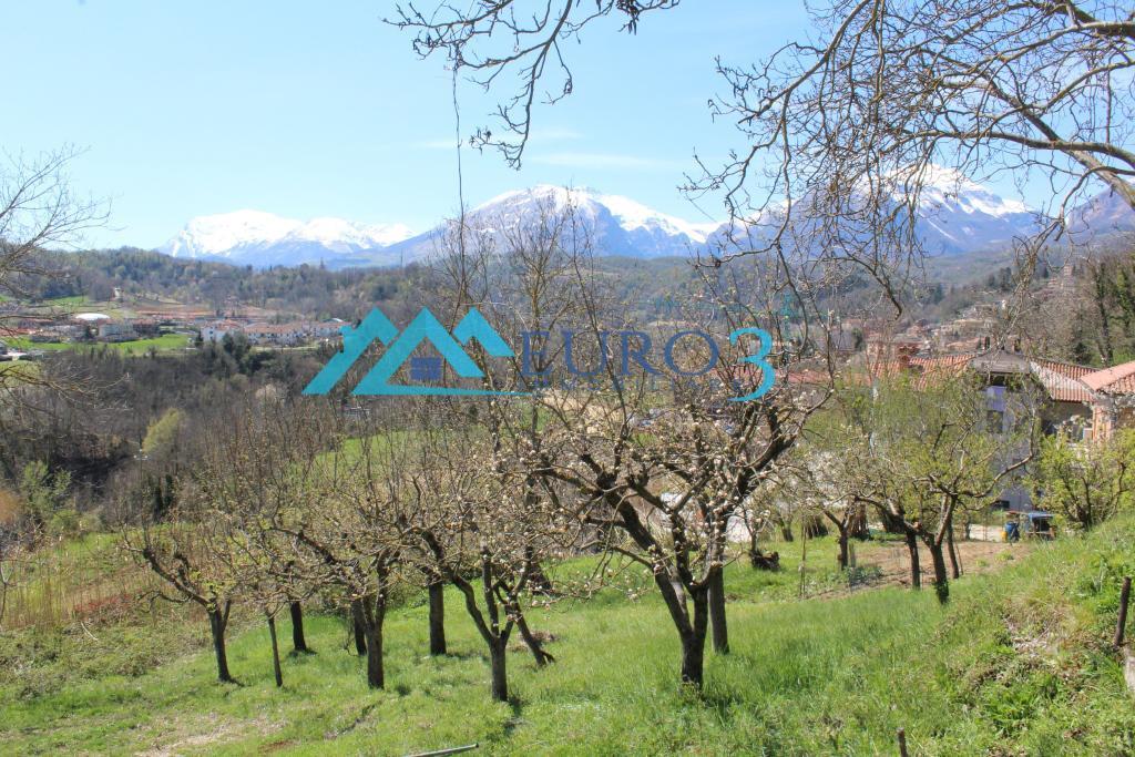 3355 DETACHED HOUSE SALE AMANDOLA4