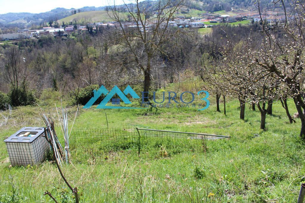 3355 DETACHED HOUSE SALE AMANDOLA9