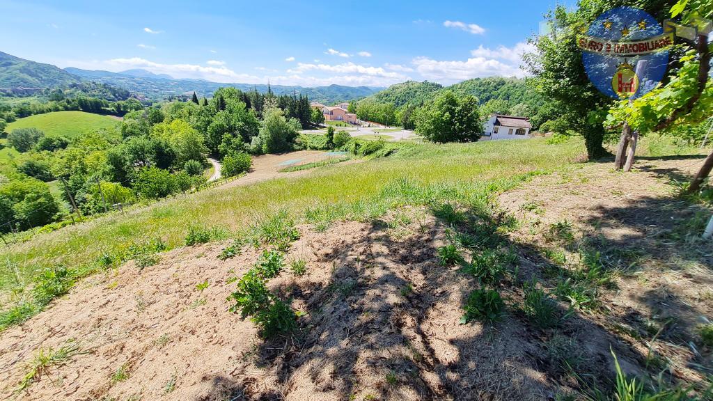 3391 CASOLARE VENDITA AMANDOLA12