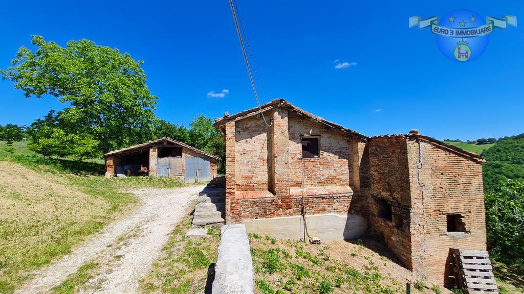 3391 CASOLARE VENDITA AMANDOLA2