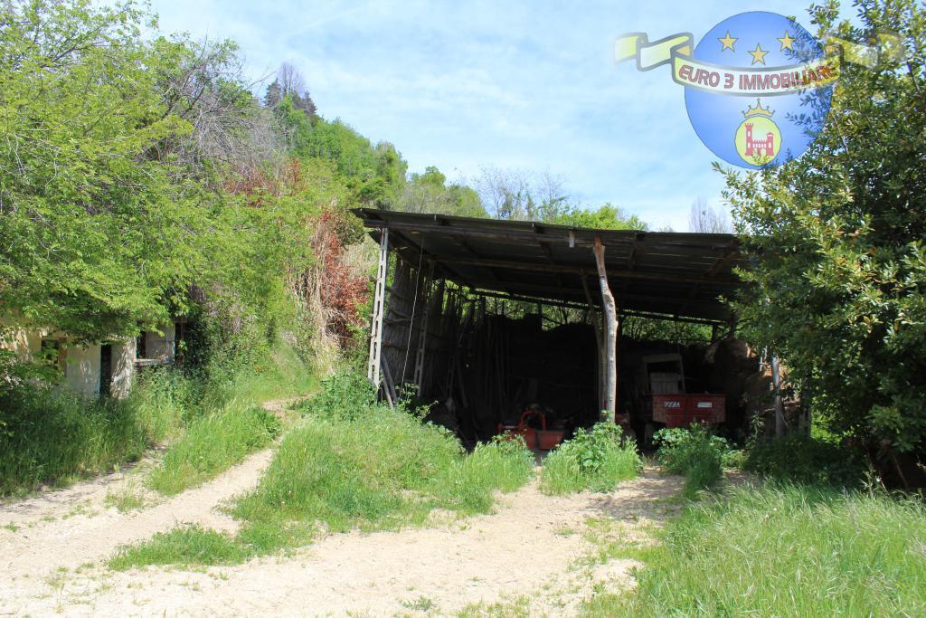 3406 CASA CIELO-TERRA VENDITA RIPATRANSONE3