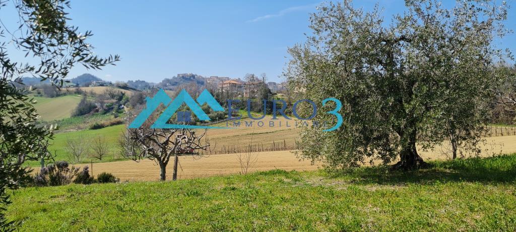 3537 FARMHOUSE SALE MONTALTO DELLE MARCHE3