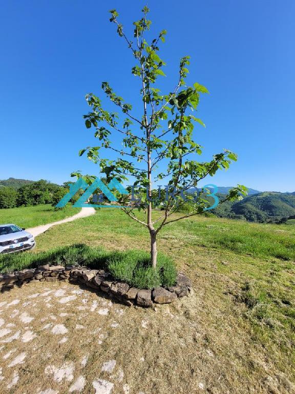 3567 FARMHOUSE SALE MONTEFORTINO16