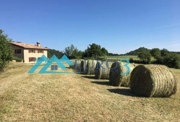3567 FARMHOUSE SALE MONTEFORTINO26