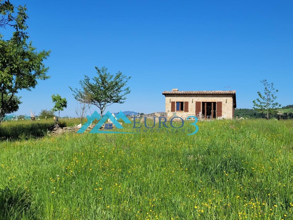 3567 FARMHOUSE SALE MONTEFORTINO6
