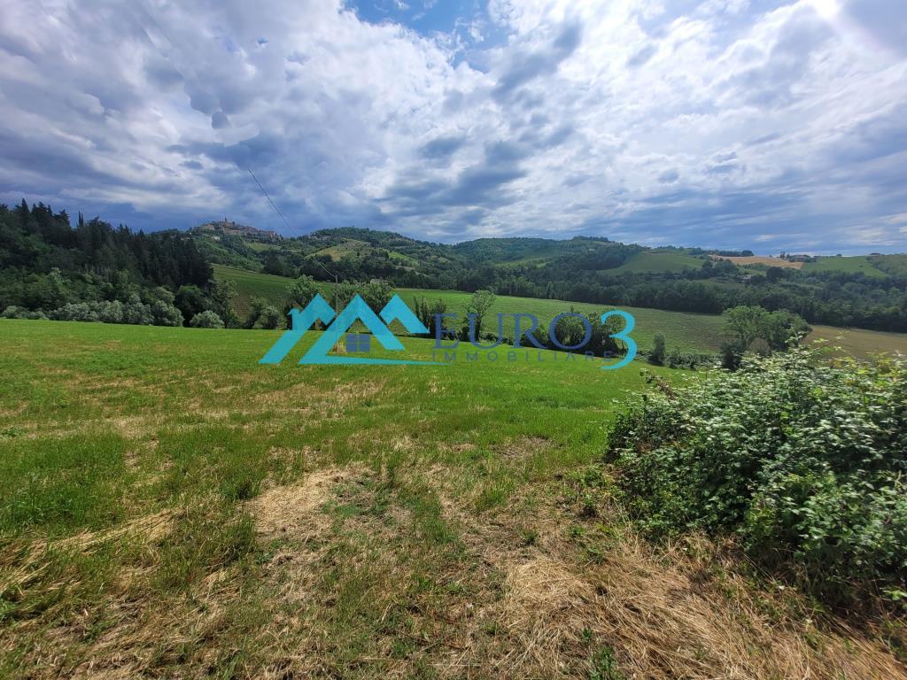 3574 CASOLARE VENDITA MONTELPARO20