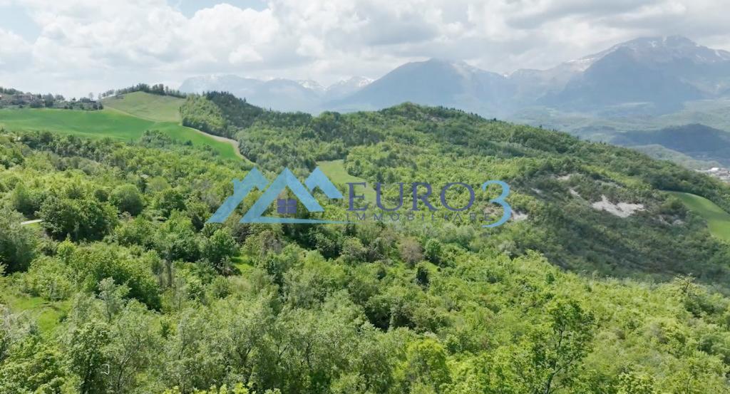 3585 FARMHOUSE SALE AMANDOLA10
