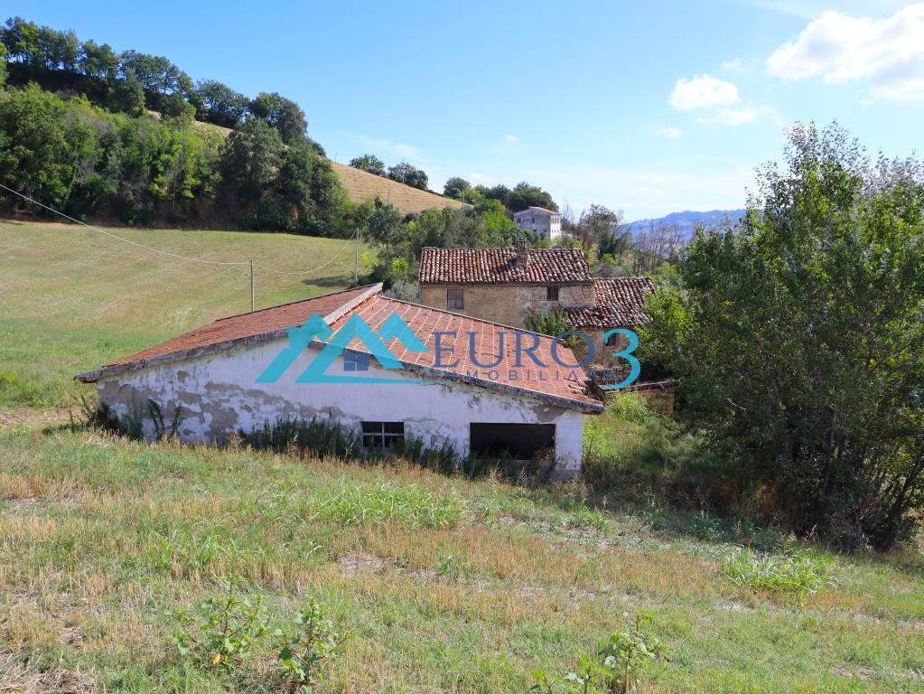 3597 FARMHOUSE SALE MONTELPARO11