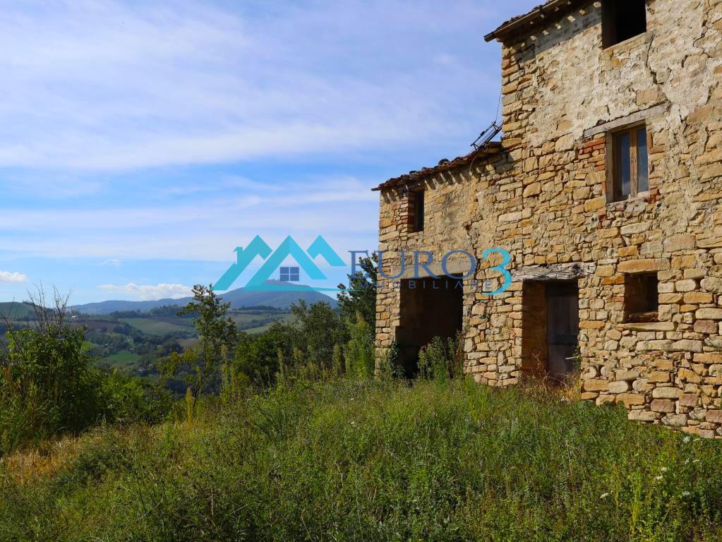 3597 FARMHOUSE SALE MONTELPARO14