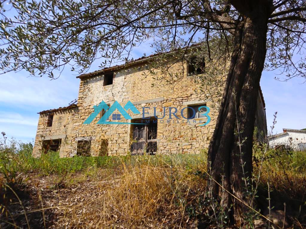 3597 FARMHOUSE SALE MONTELPARO15