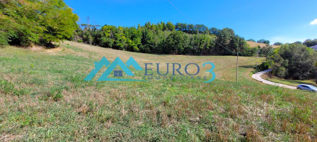 3597 FARMHOUSE SALE MONTELPARO16