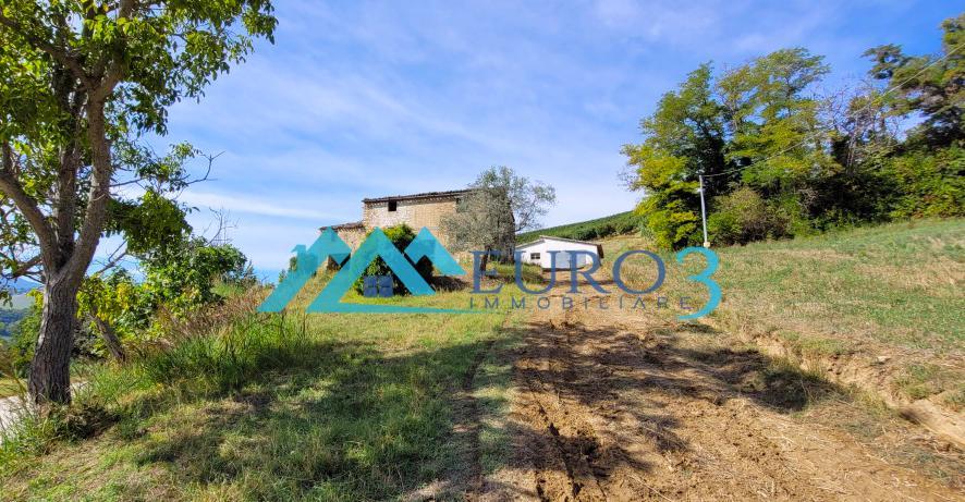 3597 FARMHOUSE SALE MONTELPARO4