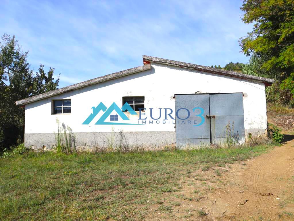 3597 FARMHOUSE SALE MONTELPARO6