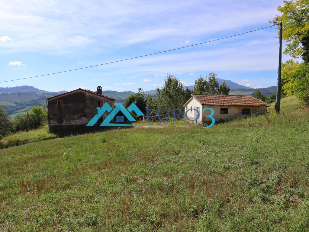 3597 FARMHOUSE SALE MONTELPARO9