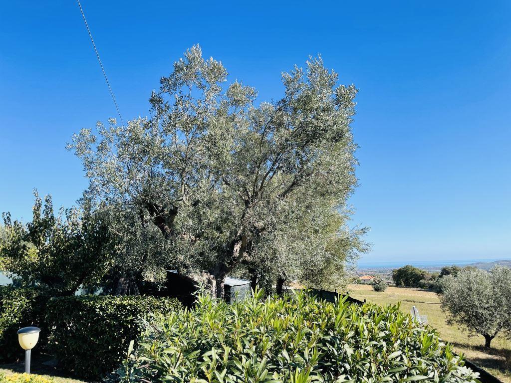 3796 VILLA SALE CORROPOLI27