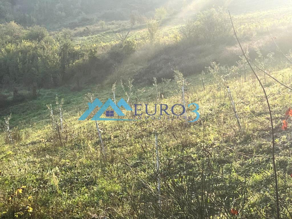 3823 LAND SALE FOLIGNANO5