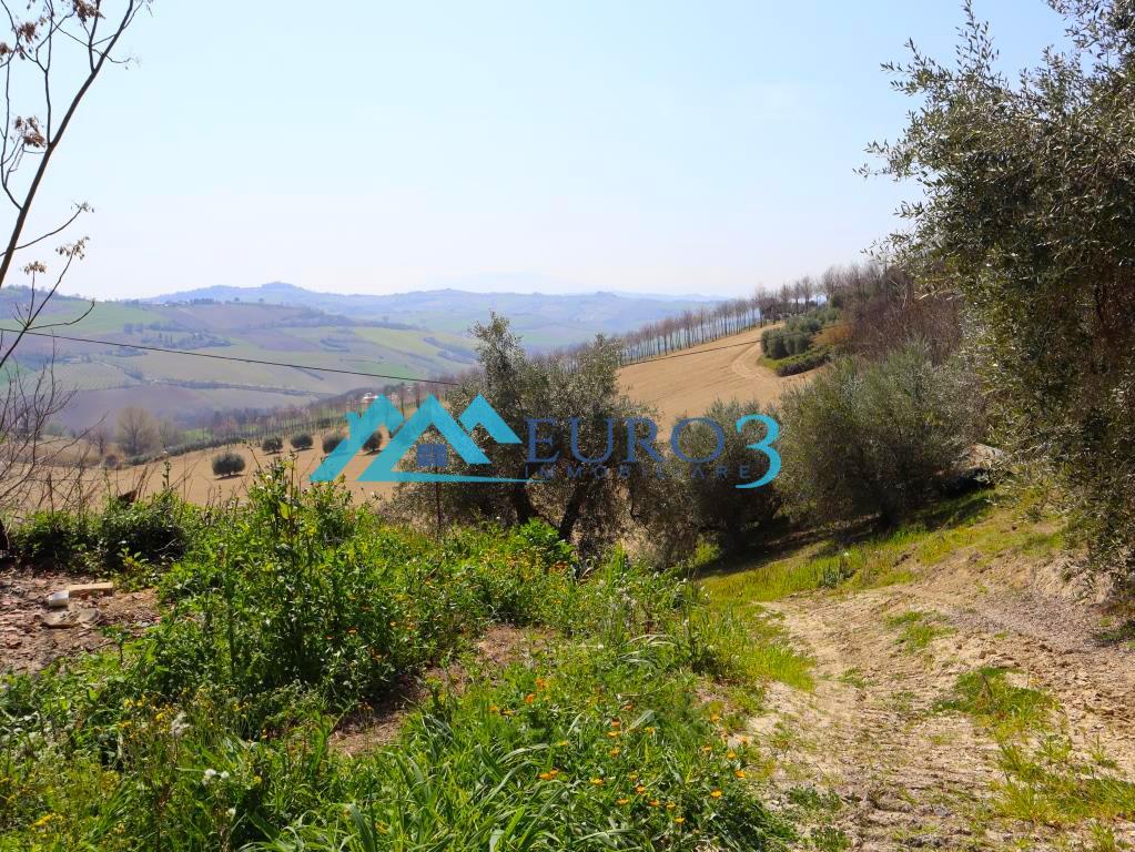 3830 DETACHED HOUSE SALE CARASSAI12
