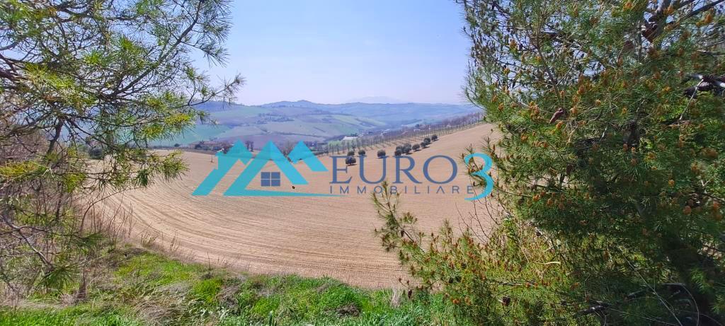 3830 DETACHED HOUSE SALE CARASSAI14