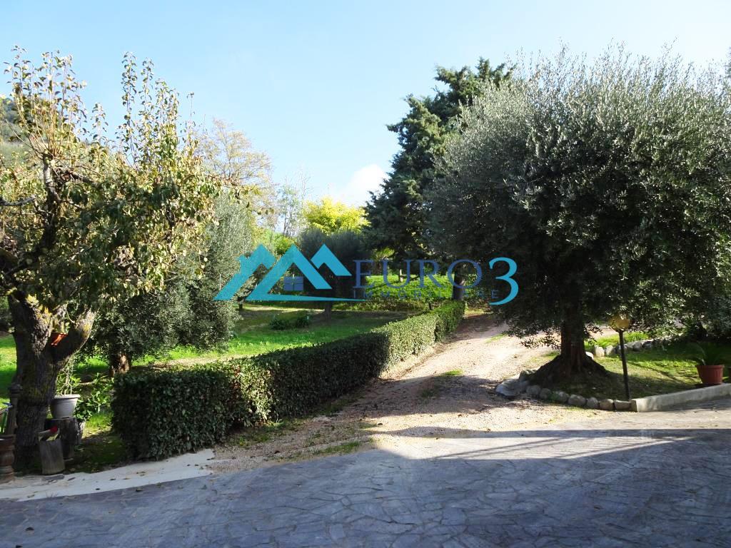 3834 DETACHED HOUSE SALE MONTEFIORE DELL'ASO15
