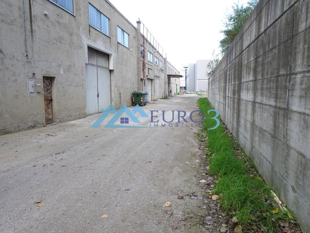 3867 SHED SALE ANCARANO2