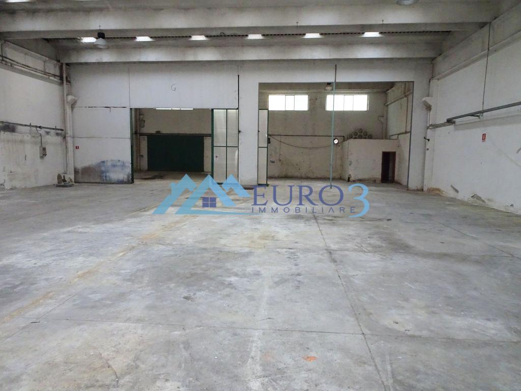 3867 SHED SALE ANCARANO3